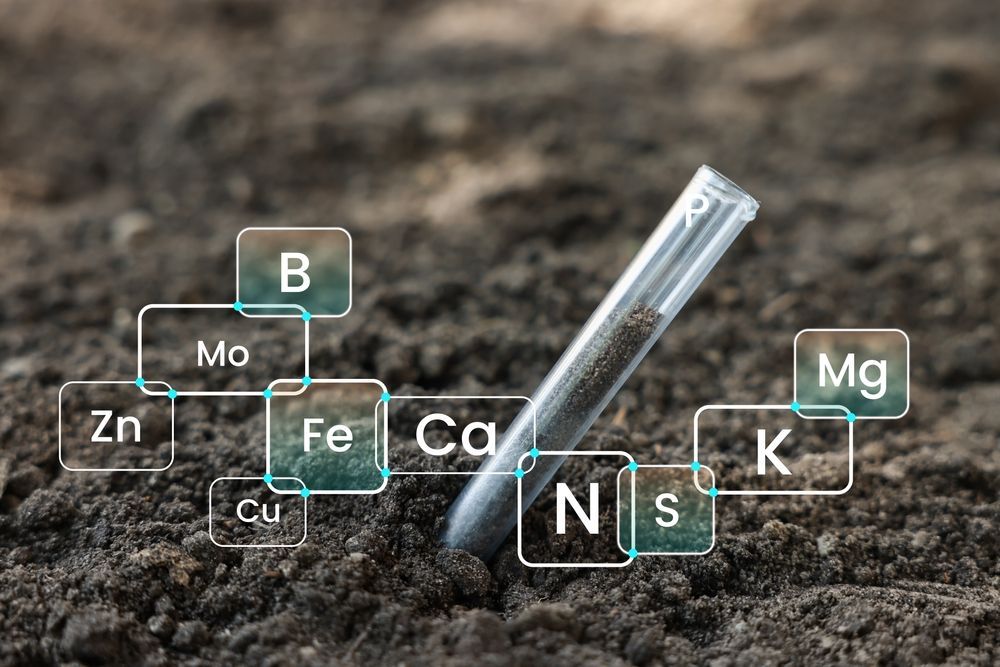 Curso de contaminación de suelos