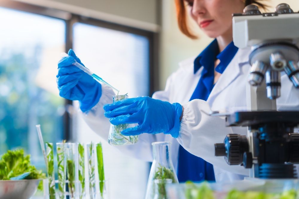 Curso de protocolos IFS y BRC en seguridad alimentaria